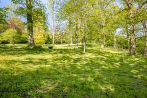 Photo 25- click for photo gallery
